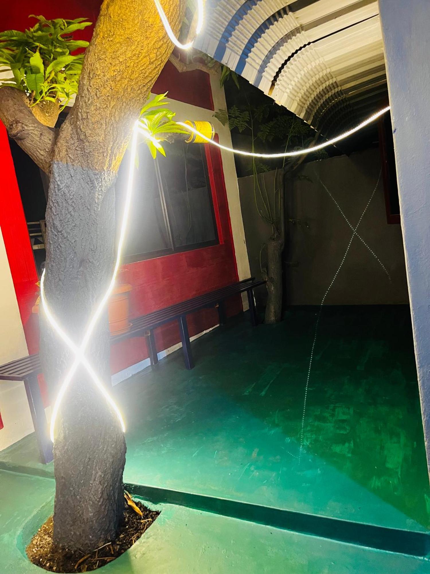 Hostel Kuruku Santhu Colive ポンディシェリ エクステリア 写真